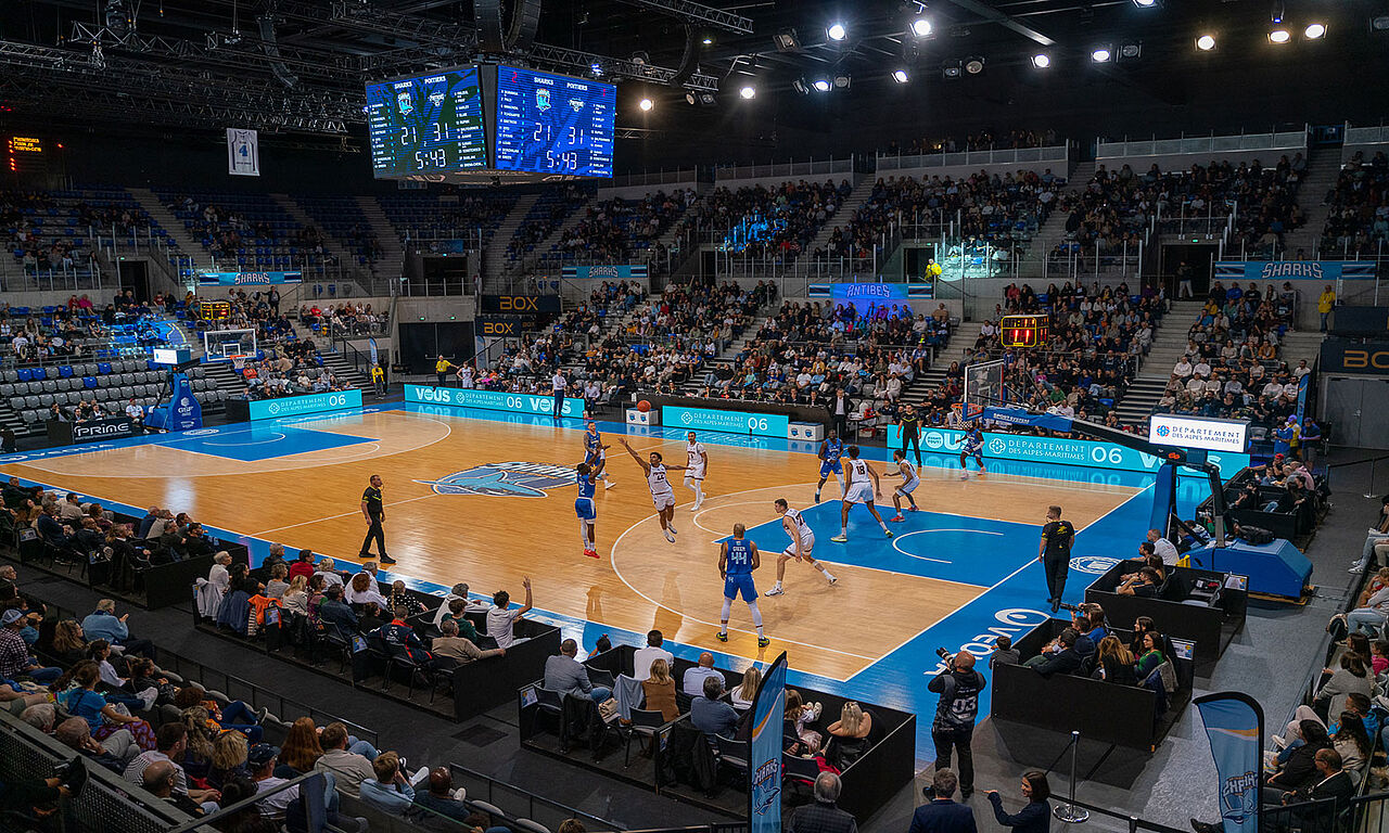 Championnat de France Pro B - Sharks d